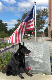 K9 Bosco